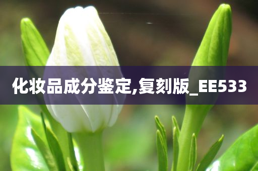 化妆品成分鉴定,复刻版_EE533