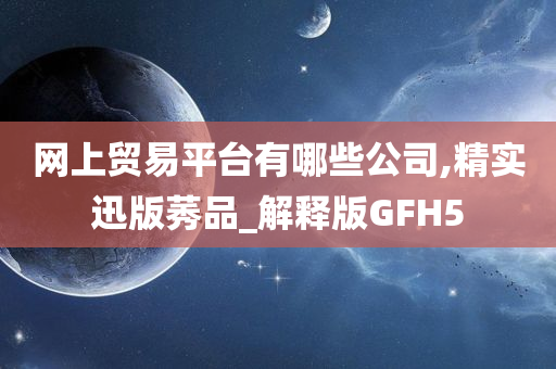 网上贸易平台有哪些公司,精实迅版莠品_解释版GFH5