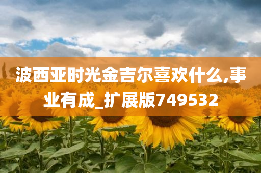 波西亚时光金吉尔喜欢什么,事业有成_扩展版749532
