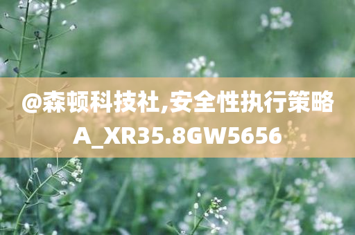@森顿科技社,安全性执行策略A_XR35.8GW5656