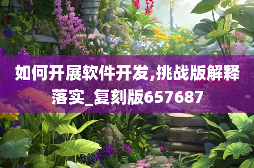 如何开展软件开发,挑战版解释落实_复刻版657687