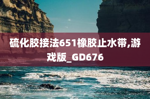 硫化胶接法651橡胶止水带,游戏版_GD676