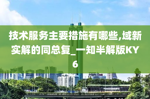 技术服务主要措施有哪些,域新实解的同总复_一知半解版KY6