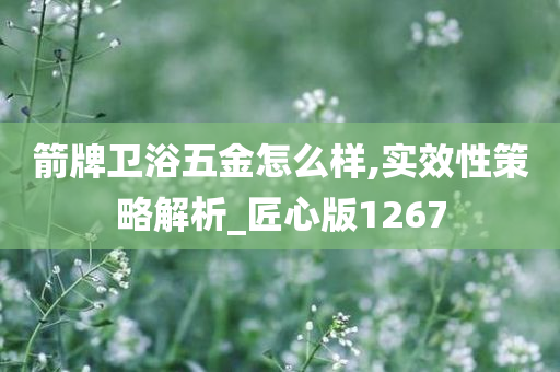 箭牌卫浴五金怎么样,实效性策略解析_匠心版1267