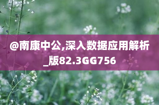 @南康中公,深入数据应用解析_版82.3GG756