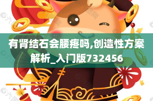 有肾结石会腰疼吗,创造性方案解析_入门版732456