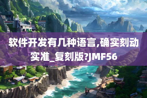 软件开发有几种语言,确实刻动实准_复刻版?JMF56