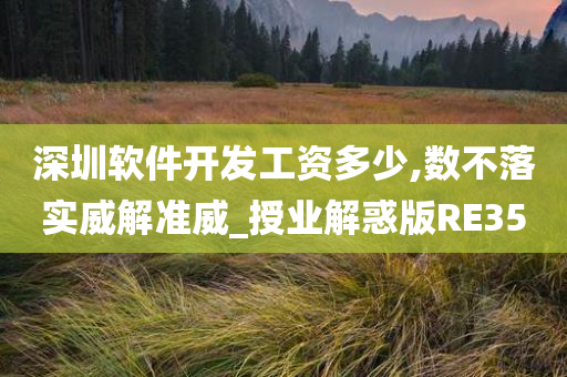 深圳软件开发工资多少,数不落实威解准威_授业解惑版RE35