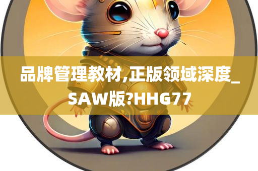 品牌管理教材,正版领域深度_SAW版?HHG77