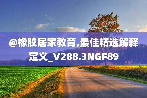 橡胶制品 第2页