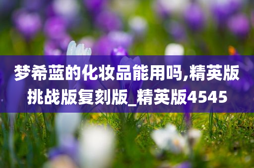 梦希蓝的化妆品能用吗,精英版挑战版复刻版_精英版4545