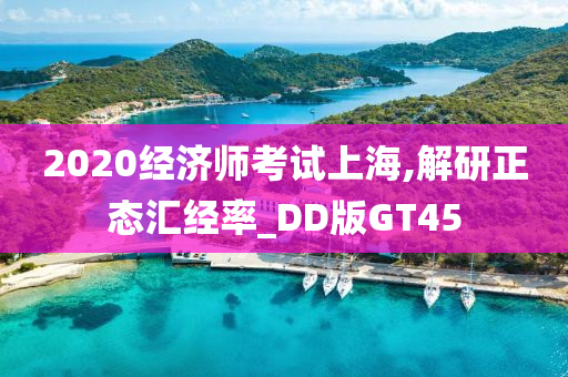 2020经济师考试上海,解研正态汇经率_DD版GT45