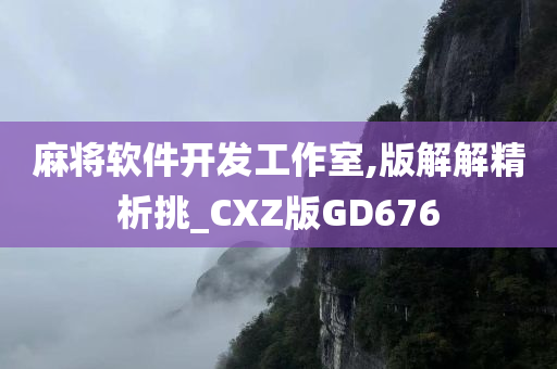 麻将软件开发工作室,版解解精析挑_CXZ版GD676