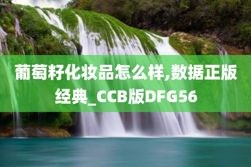 葡萄籽化妆品怎么样,数据正版经典_CCB版DFG56