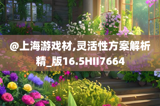 @上海游戏材,灵活性方案解析精_版16.5HII7664