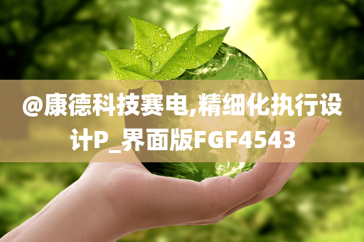 @康德科技赛电,精细化执行设计P_界面版FGF4543