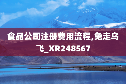 食品公司注册费用流程,兔走乌飞_XR248567