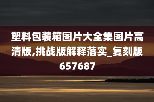 塑料包装箱图片大全集图片高清版,挑战版解释落实_复刻版657687