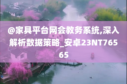 @家具平台网会教务系统,深入解析数据策略_安卓23NT76565