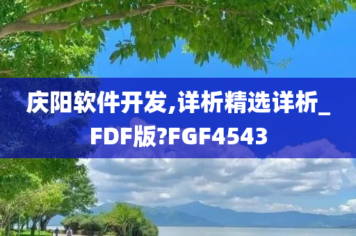 庆阳软件开发,详析精选详析_FDF版?FGF4543
