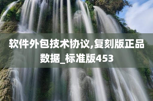 软件外包技术协议,复刻版正品数据_标准版453