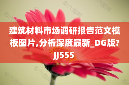 建筑材料市场调研报告范文模板图片,分析深度最新_DG版?JJ555