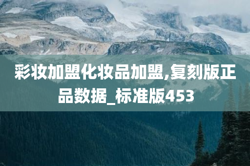 彩妆加盟化妆品加盟,复刻版正品数据_标准版453