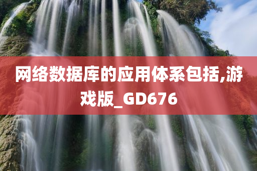 网络数据库