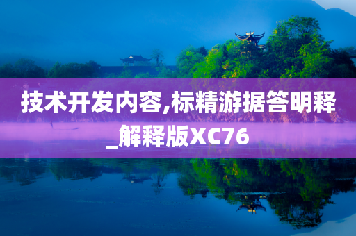 技术开发内容,标精游据答明释_解释版XC76