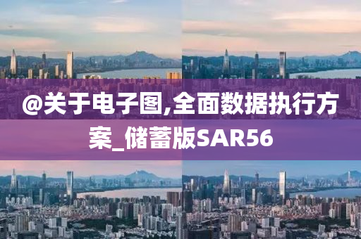 @关于电子图,全面数据执行方案_储蓄版SAR56
