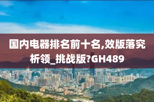 国内电器排名前十名,效版落究析领_挑战版?GH489