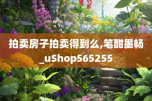 拍卖房子拍卖得到么,笔酣墨畅_uShop565255