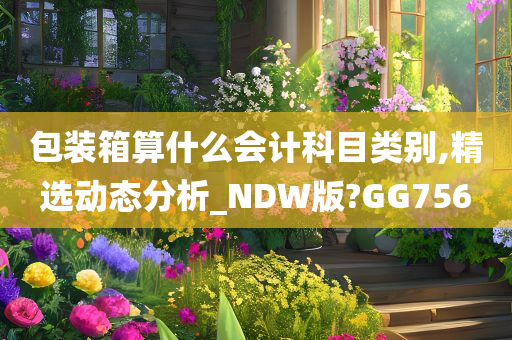 包装箱算什么会计科目类别,精选动态分析_NDW版?GG756