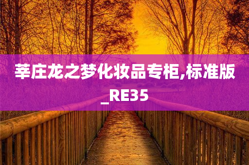 莘庄龙之梦化妆品专柜,标准版_RE35