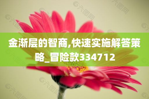 金渐层的智商,快速实施解答策略_冒险款334712