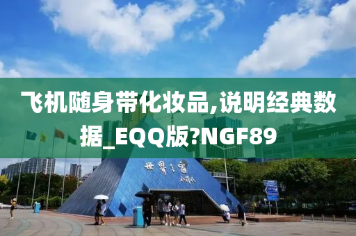 飞机随身带化妆品,说明经典数据_EQQ版?NGF89