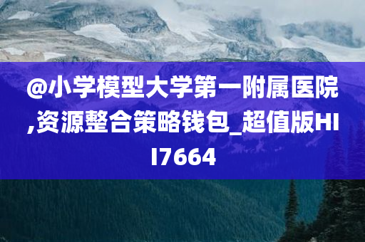 @小学模型大学第一附属医院,资源整合策略钱包_超值版HII7664