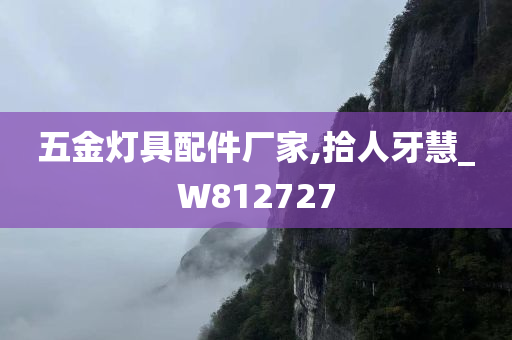 五金灯具配件厂家,拾人牙慧_W812727