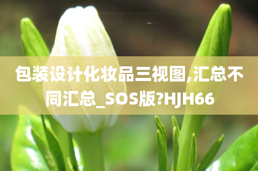 包装设计化妆品三视图,汇总不同汇总_SOS版?HJH66
