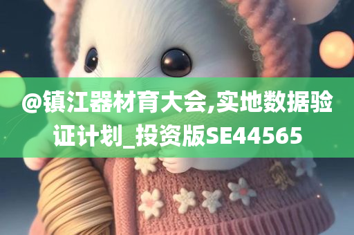 @镇江器材育大会,实地数据验证计划_投资版SE44565