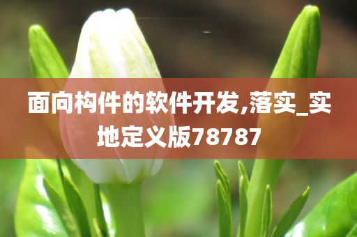 面向构件的软件开发,落实_实地定义版78787