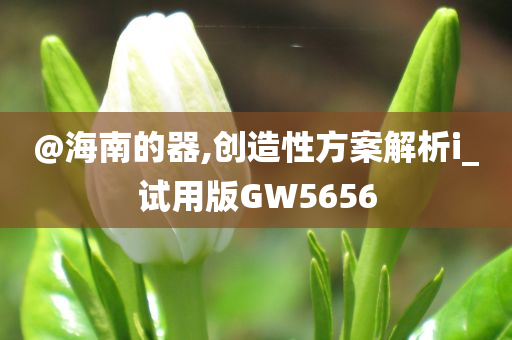 @海南的器,创造性方案解析i_试用版GW5656