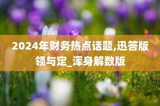 2024年财务热点话题,迅答版领与定_浑身解数版