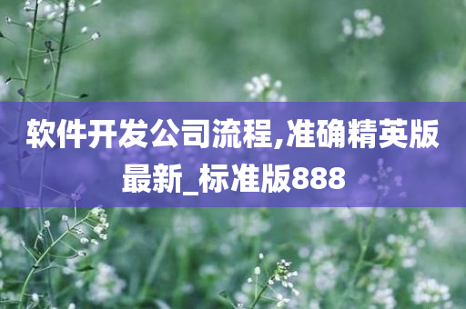 软件开发公司流程,准确精英版最新_标准版888