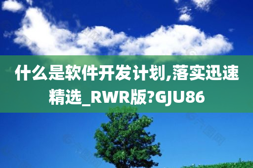 什么是软件开发计划,落实迅速精选_RWR版?GJU86