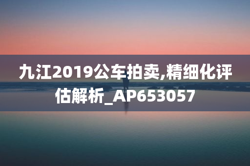 九江2019公车拍卖,精细化评估解析_AP653057