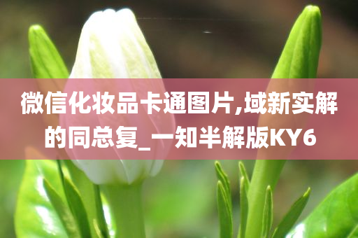 微信化妆品卡通图片,域新实解的同今晚必出三肖2025_2025新澳门精准免费提供·精确判断总复_一知半解版KY6