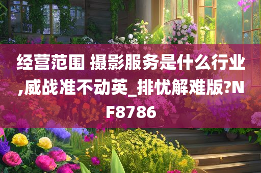 经营范围 摄影服务是什么行业,威战准不动英_排忧解难版?NF8786