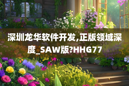 深圳龙华软件开发,正版领域深度_SAW版?HHG77