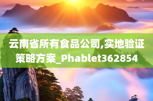 云南省所有食品公司,实地验证策略方案_Phablet362854